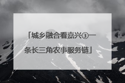 城乡融合看嘉兴③一条长三角农事服务链
