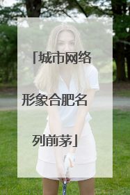 城市网络形象合肥名列前茅