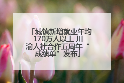 城镇新增就业年均170万人以上 川渝人社合作五周年“成绩单”发布