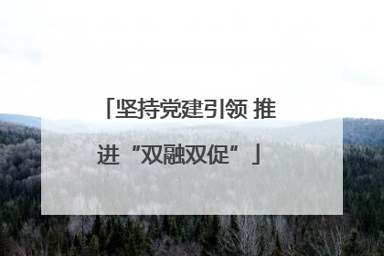 坚持党建引领 推进“双融双促”
