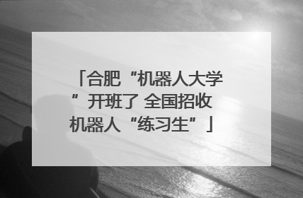 合肥“机器人大学”开班了 全国招收机器人“练习生”