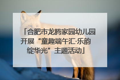 合肥市龙腾家园幼儿园开展“童趣端午汇·乐韵绽华光”主题活动