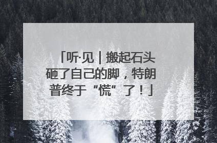 听·见｜搬起石头砸了自己的脚，特朗普终于“慌”了！