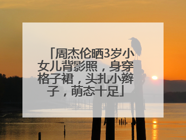 周杰伦晒3岁小女儿背影照，身穿格子裙，头扎小辫子，萌态十足