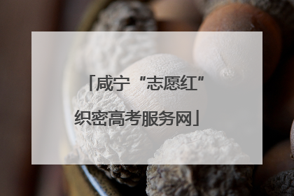 咸宁“志愿红”织密高考服务网