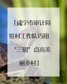 咸宁市审计局驻村工作队巧用“三招”点亮美丽乡村