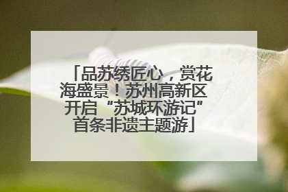 品苏绣匠心，赏花海盛景！苏州高新区开启“苏城环游记”首条非遗主题游