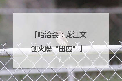 哈洽会：龙江文创火爆“出圈”