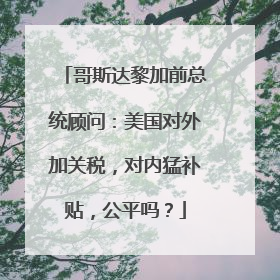 哥斯达黎加前总统顾问：美国对外加关税，对内猛补贴，公平吗？