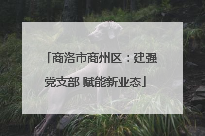 商洛市商州区：建强党支部 赋能新业态