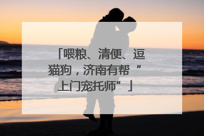 喂粮、清便、逗猫狗，济南有帮“上门宠托师”