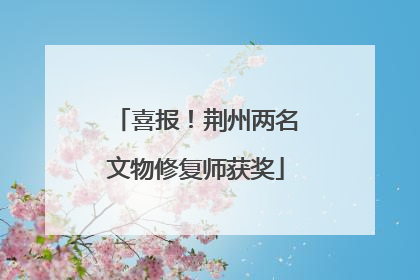 喜报！荆州两名文物修复师获奖