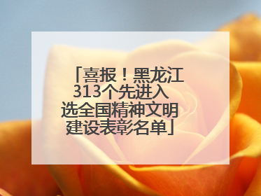喜报！黑龙江313个先进入选全国精神文明建设表彰名单