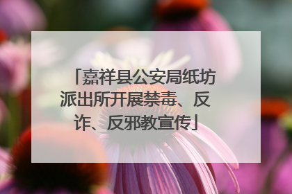 嘉祥县公安局纸坊派出所开展禁毒、反诈、反邪教宣传