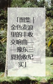图集｜金色麦浪里的丰收交响曲——豫东三夏抢收纪实
