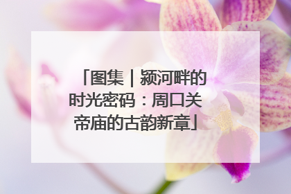 图集｜颍河畔的时光密码：周口关帝庙的古韵新章