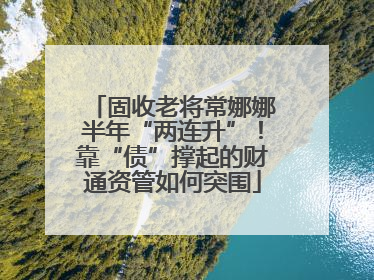 固收老将常娜娜半年“两连升”！靠“债”撑起的财通资管如何突围