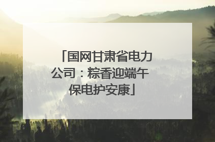 国网甘肃省电力公司：粽香迎端午 保电护安康