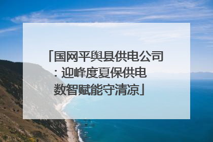 国网平舆县供电公司：迎峰度夏保供电  数智赋能守清凉