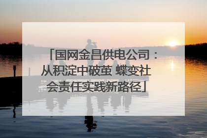 国网金昌供电公司：从积淀中破茧 蝶变社会责任实践新路径