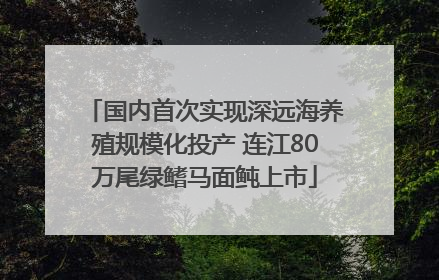 国内首次实现深远海养殖规模化投产 连江80万尾绿鳍马面鲀上市