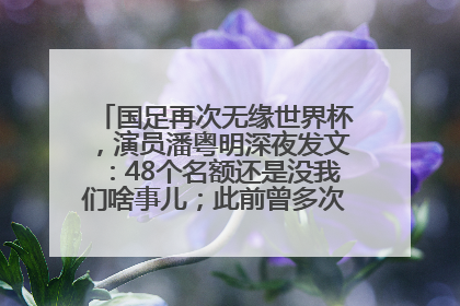 国足再次无缘世界杯，演员潘粤明深夜发文：48个名额还是没我们啥事儿；此前曾多次为国足发声