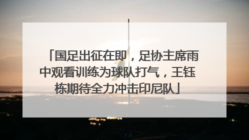 国足出征在即，足协主席雨中观看训练为球队打气，王钰栋期待全力冲击印尼队