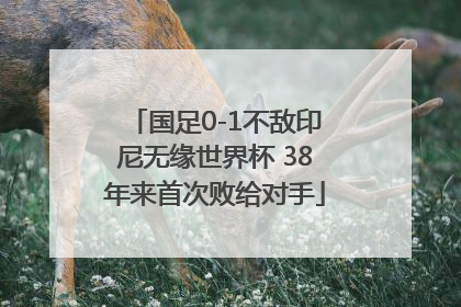 国足0-1不敌印尼无缘世界杯 38年来首次败给对手