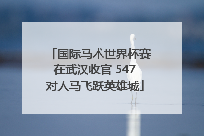国际马术世界杯赛在武汉收官 547对人马飞跃英雄城