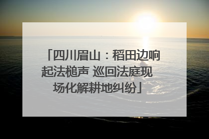 四川眉山：稻田边响起法槌声 巡回法庭现场化解耕地纠纷