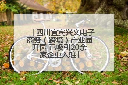 四川宜宾兴文电子商务（跨境）产业园开园 已吸引20余家企业入驻
