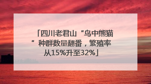 四川老君山“鸟中熊猫”种群数量翻番，繁殖率从15%升至32%