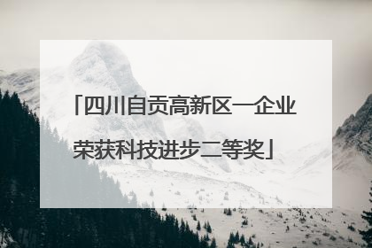 四川自贡高新区一企业荣获科技进步二等奖