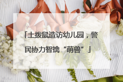 土拨鼠造访幼儿园，警民协力智擒“萌兽”