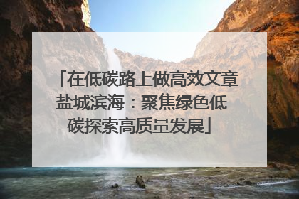 在低碳路上做高效文章 盐城滨海：聚焦绿色低碳探索高质量发展