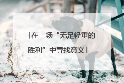 在一场“无足轻重的胜利”中寻找意义