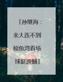 孙继海：来大连不到梭鱼湾看场球挺遗憾