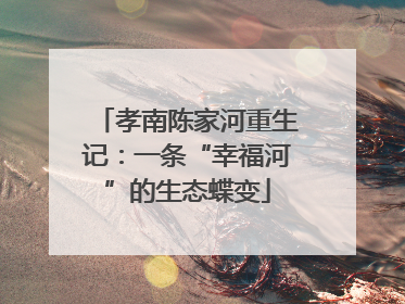 孝南陈家河重生记：一条“幸福河”的生态蝶变