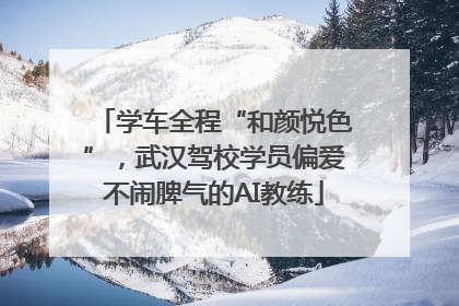 学车全程“和颜悦色”，武汉驾校学员偏爱不闹脾气的AI教练