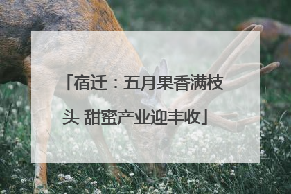 宿迁：五月果香满枝头 甜蜜产业迎丰收