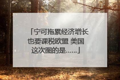 宁可拖累经济增长也要课税欧盟 美国这次图的是……