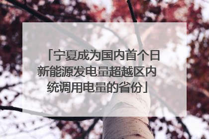 宁夏成为国内首个日新能源发电量超越区内统调用电量的省份