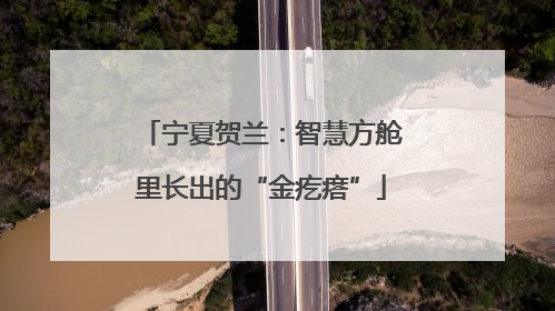 宁夏贺兰：智慧方舱里长出的“金疙瘩”