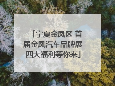 宁夏金凤区 首届金凤汽车品牌展四大福利等你来