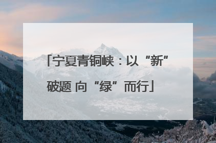 宁夏青铜峡：以“新”破题 向“绿”而行