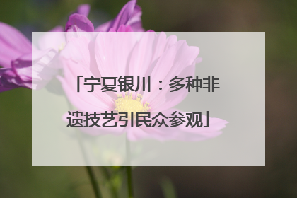 宁夏银川：多种非遗技艺引民众参观