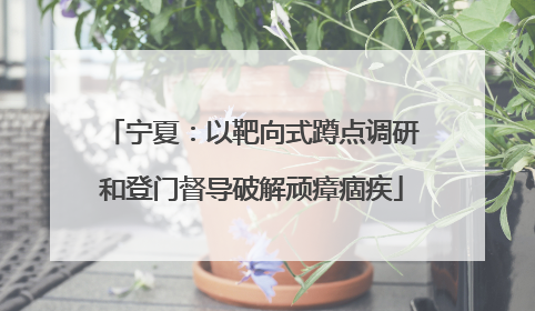 宁夏：以靶向式蹲点调研和登门督导破解顽瘴痼疾