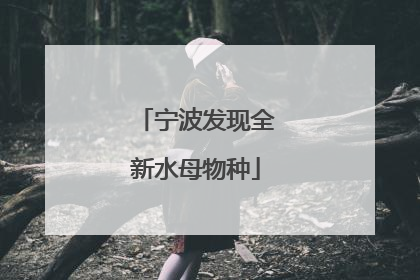 宁波发现全新水母物种