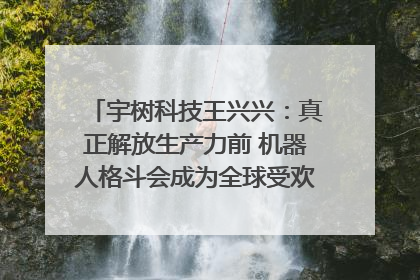 宇树科技王兴兴：真正解放生产力前 机器人格斗会成为全球受欢迎的赛事｜科技观察