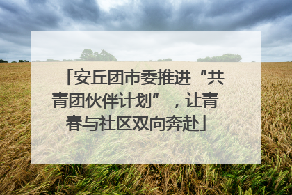 安丘团市委推进“共青团伙伴计划”，让青春与社区双向奔赴